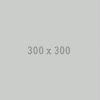 300x300